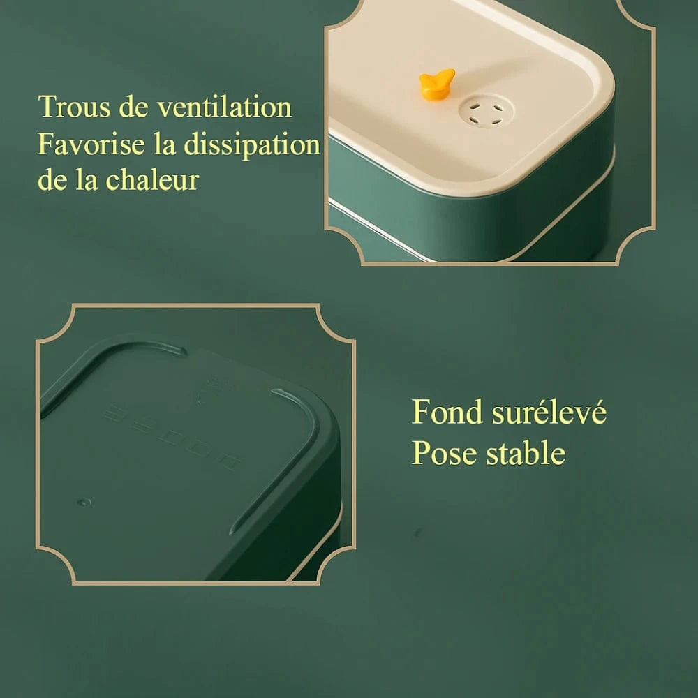 Lunch Box Japonaise Bento - Savourez la tradition culinaire japonaise